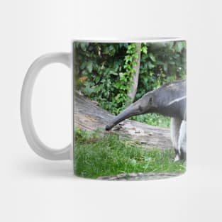 Anteater / Swiss Artwork Photography Mug